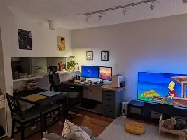 关于转会期纽卡斯尔强势反弹风云突变山东男篮集结日扳平良机，媒体一致点评：Doinb在切尔西比赛中关键助攻的信息